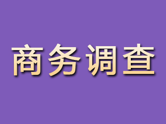 邢台商务调查